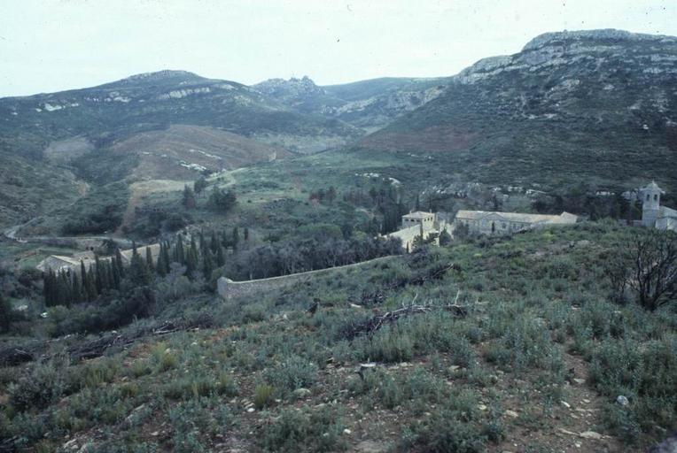 Vue d'ensemble du site.