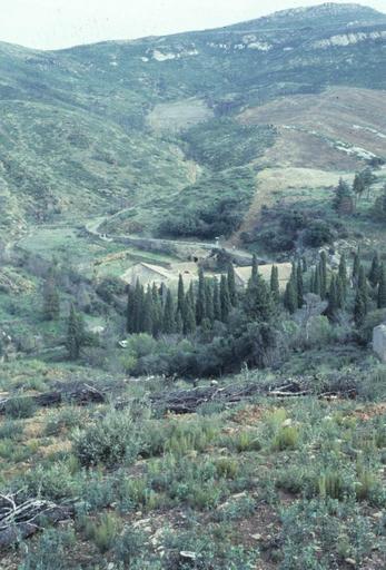 Vue d'ensemble du site.