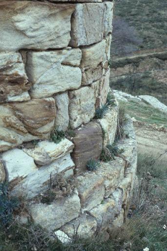 Tours de guet de l'abbaye.Tour Nord Est.