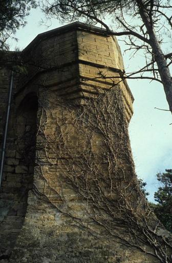 Mur d'enceinte et échauguette.