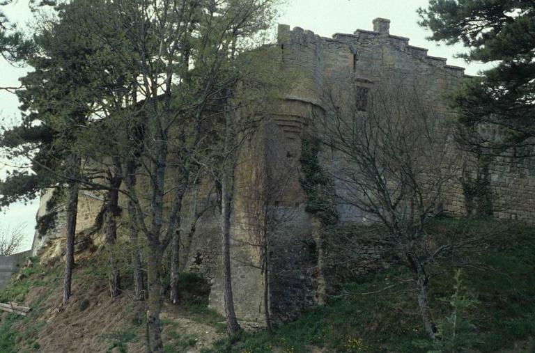 Mur d'enceinte et échauguette.