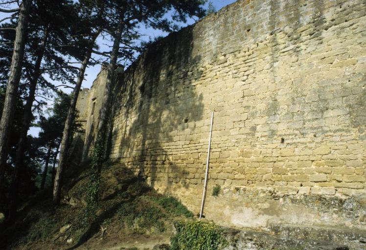 Mur d'enceinte et échauguette.