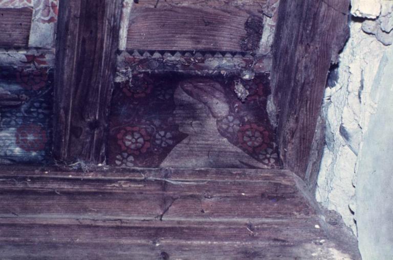 Intérieur. Plafond peint de la grande salle. Panneau.