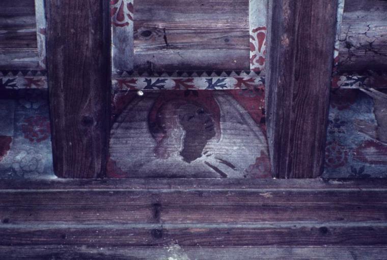 Intérieur. Plafond peint de la grande salle. Panneau.