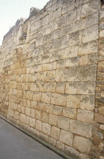 Clôture de l'abbaye : mur de la rue des Lavandières.