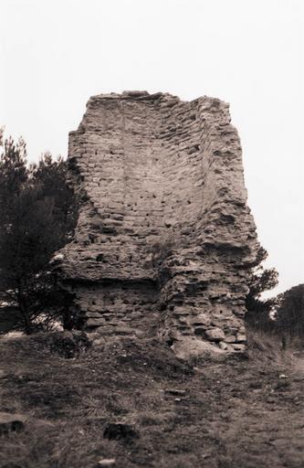 Vue générale des vestiges.