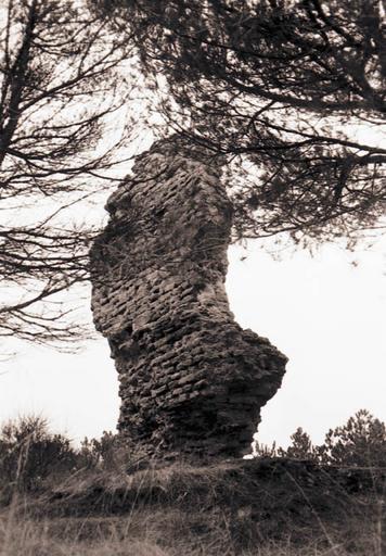 Vue générale des vestiges.