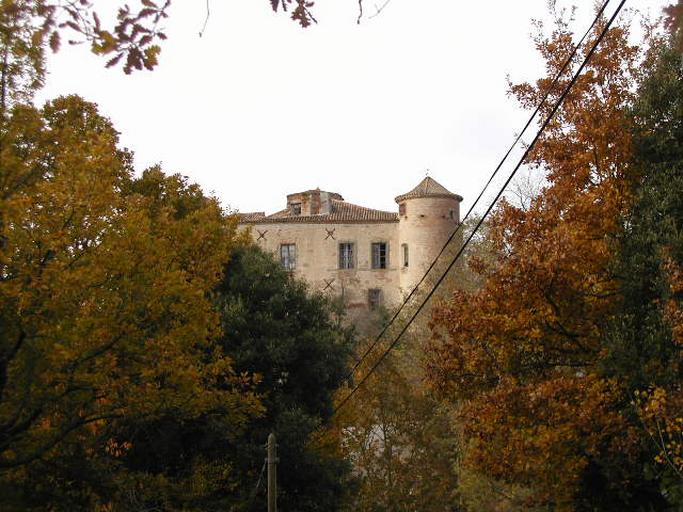 Façade sud-est : la tour d'escalier dépassant des toitures, au centre.