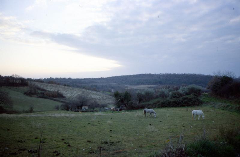 Paysage