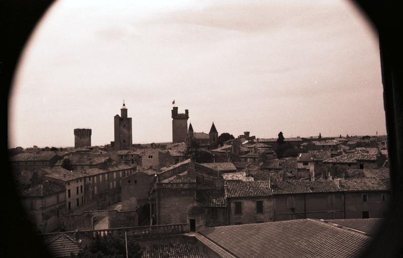 Vue de la ville depuis l'évêché avec les 3 tours.