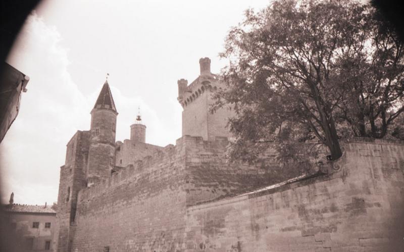 Chapelle, donjon et courtine.