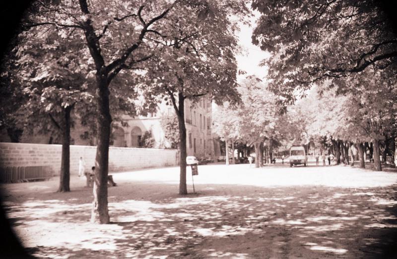 Promenade des maronniers, ancien jardin du palais episcopal, avec façade arrière et latérale.