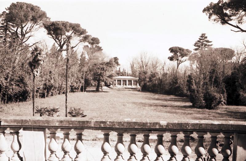 Vue du parc depuis la terrasse.