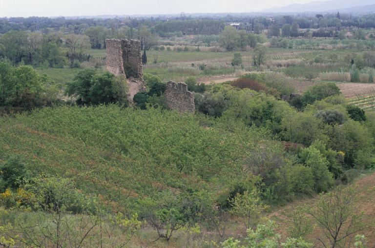 Vue générale des vestiges du monastère et de sa tour.