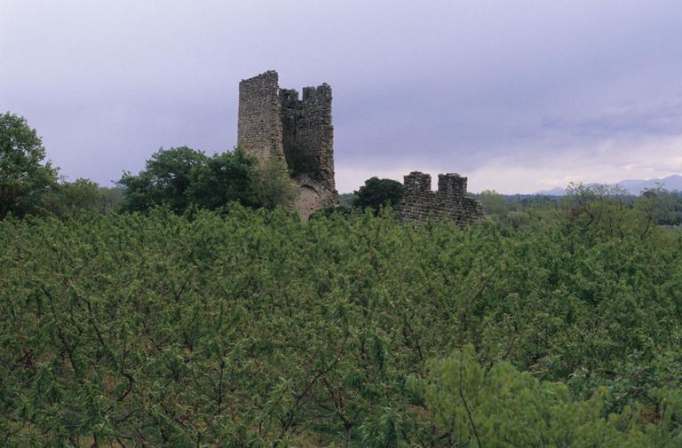 Vue générale des vestiges du monastère et de sa tour.