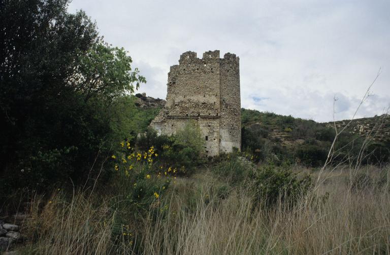 Vue générale sud des vestiges de la tour.