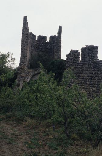 Vue nord-ouest des vestiges du monastère.