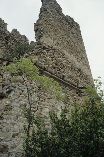 Appareil de pierre du mur sud de la tour.