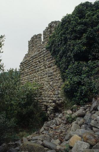 Vestiges des parois nord du monastère.