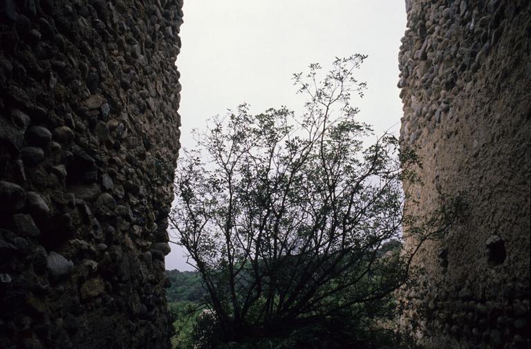 Vestiges des parois du monastère.