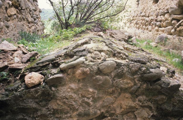 Vestiges du monastère.