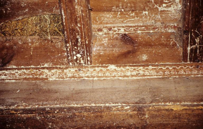 Intérieur ; transept ; détail des vestiges d'un décor sur la charpente de bois.