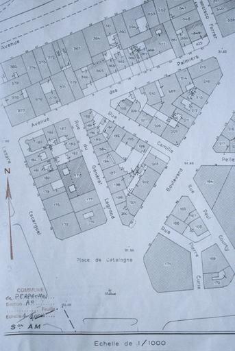 Plan cadastral (parcelle 171).