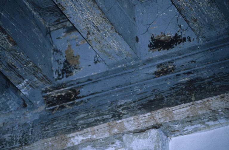 1er étage ; salle au décor peint à du plafond peint.