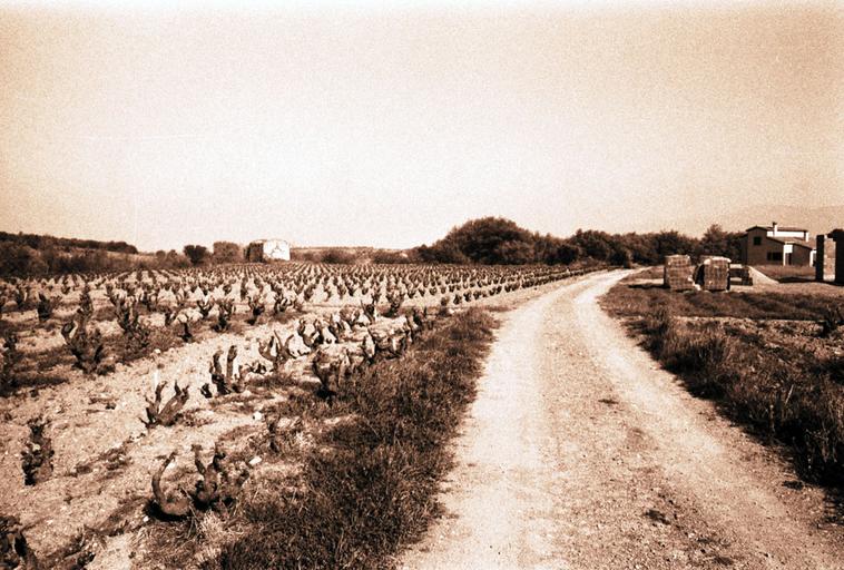 Vue des alentours.