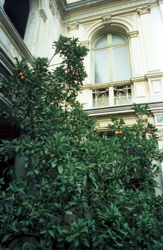 Vue de la cour intérieure.