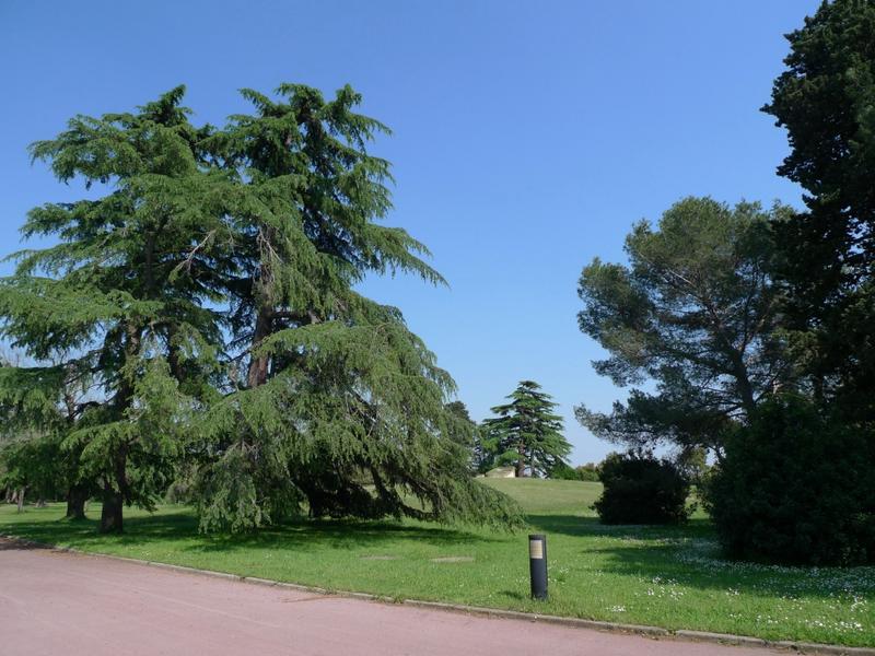 Vue du bâtiment enterré depuis le château.