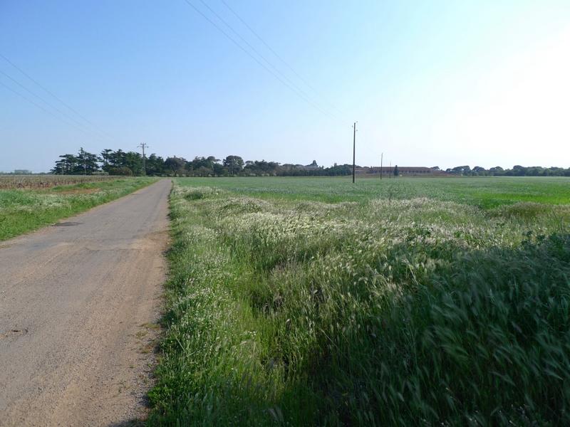 Vue de la ferme et du domaine depuis le chemin longeant le grand bois.