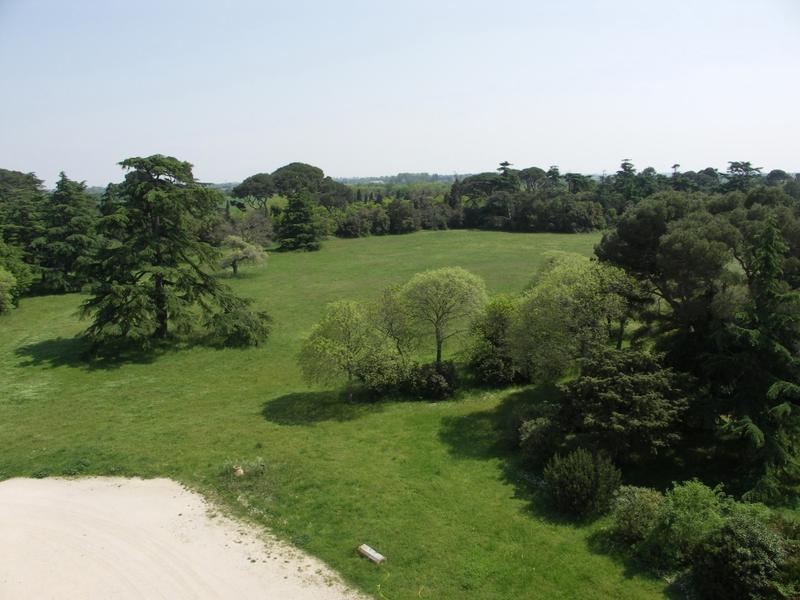 Vue du parc depuis la tour de l'horloge.