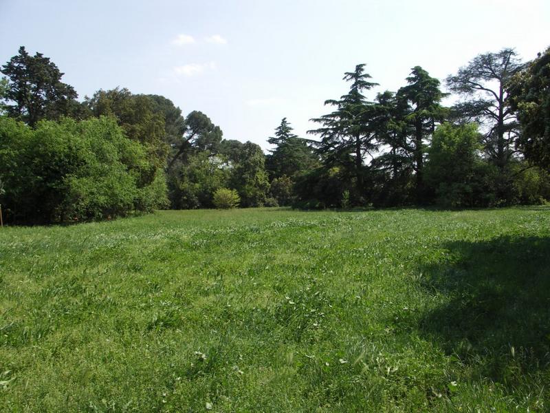 Vue depuis le château sur les bosquets central et Est du parc.