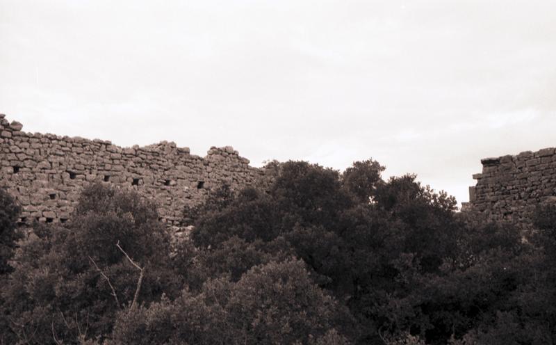 Vestiges.