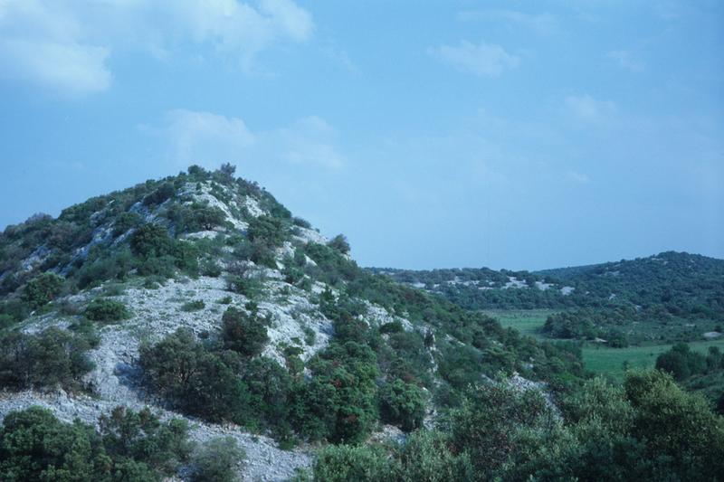 Vue d'ensemble du site.