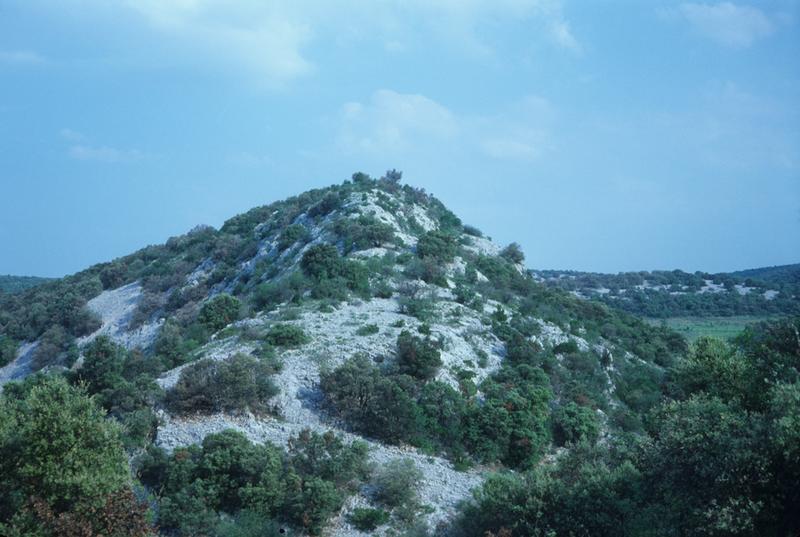 Vue d'ensemble du site.