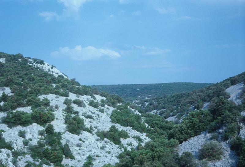 Vue d'ensemble du site.