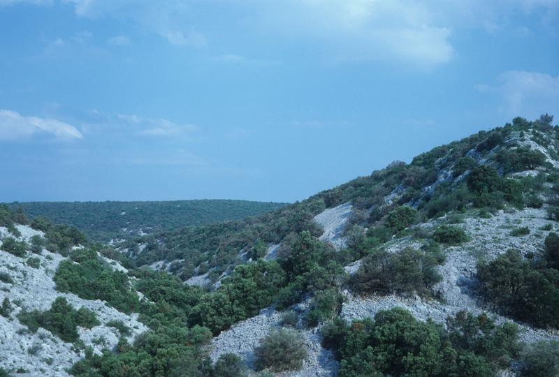 Vue d'ensemble du site.