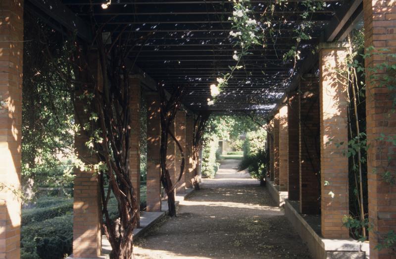 Jardin ; pergola.