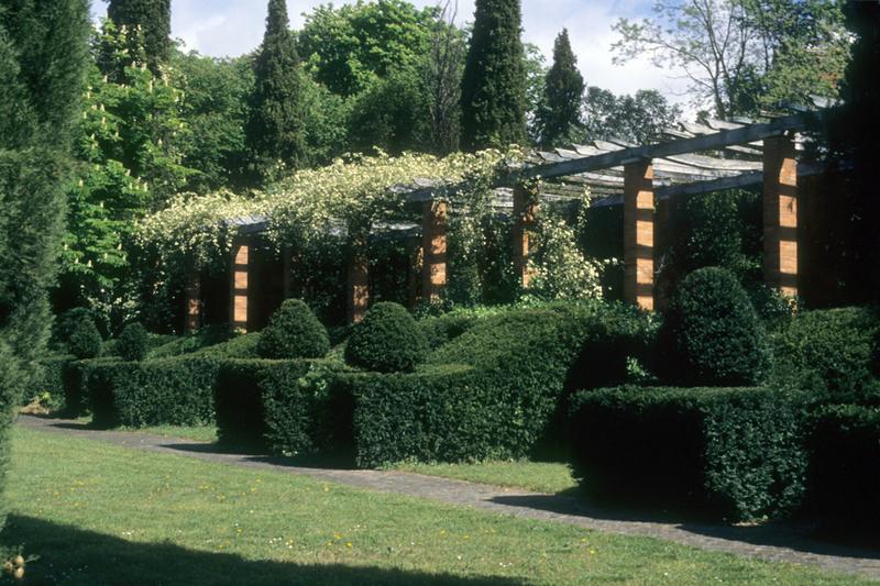 Jardin ; pergola.