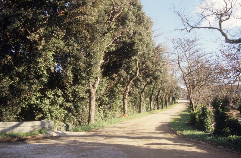 Vue du parc.