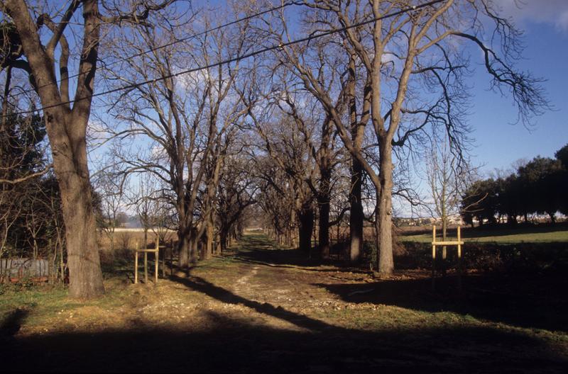 Vue du parc.