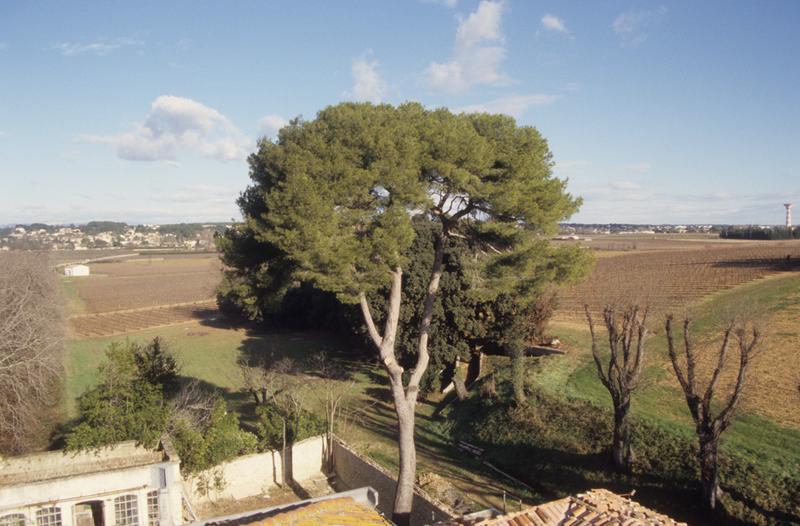 Vue du parc et de l'orangerie vers le nord.