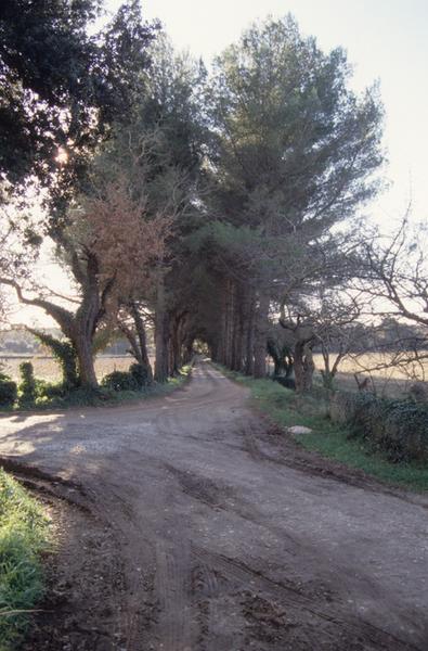 Chemin neuf ; allée sud.