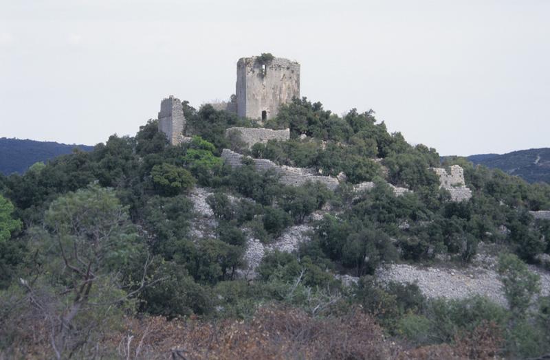 Vue d'ensemble des vestiges du château et de l'enceinte fortifiée.