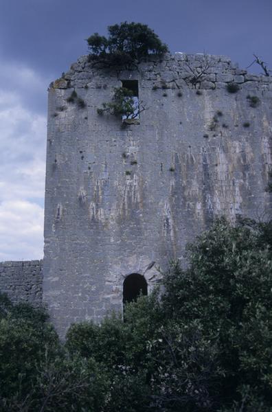 Vestiges : tour maîtresse.