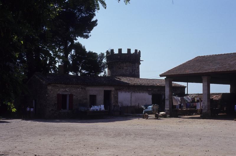 Cour des communs ; bâtiments annexes.