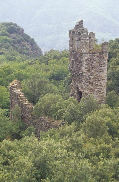 Vue d'ensemble des vestiges de l'église avec le clocher.