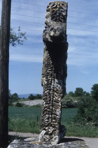 Vue de profil.